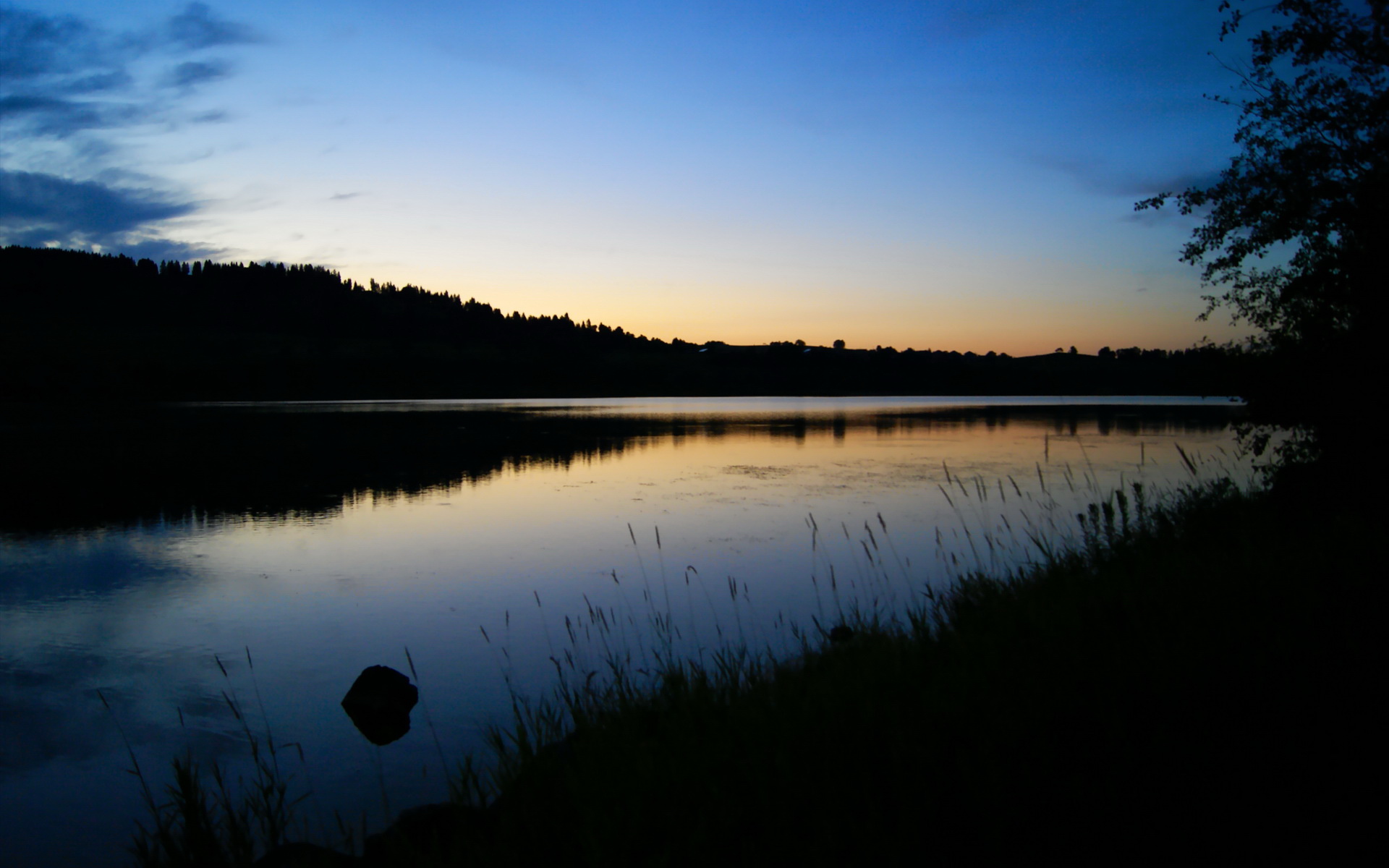 车队引资大戏:金钱与冠军的博弈,车队是怎么挣钱的