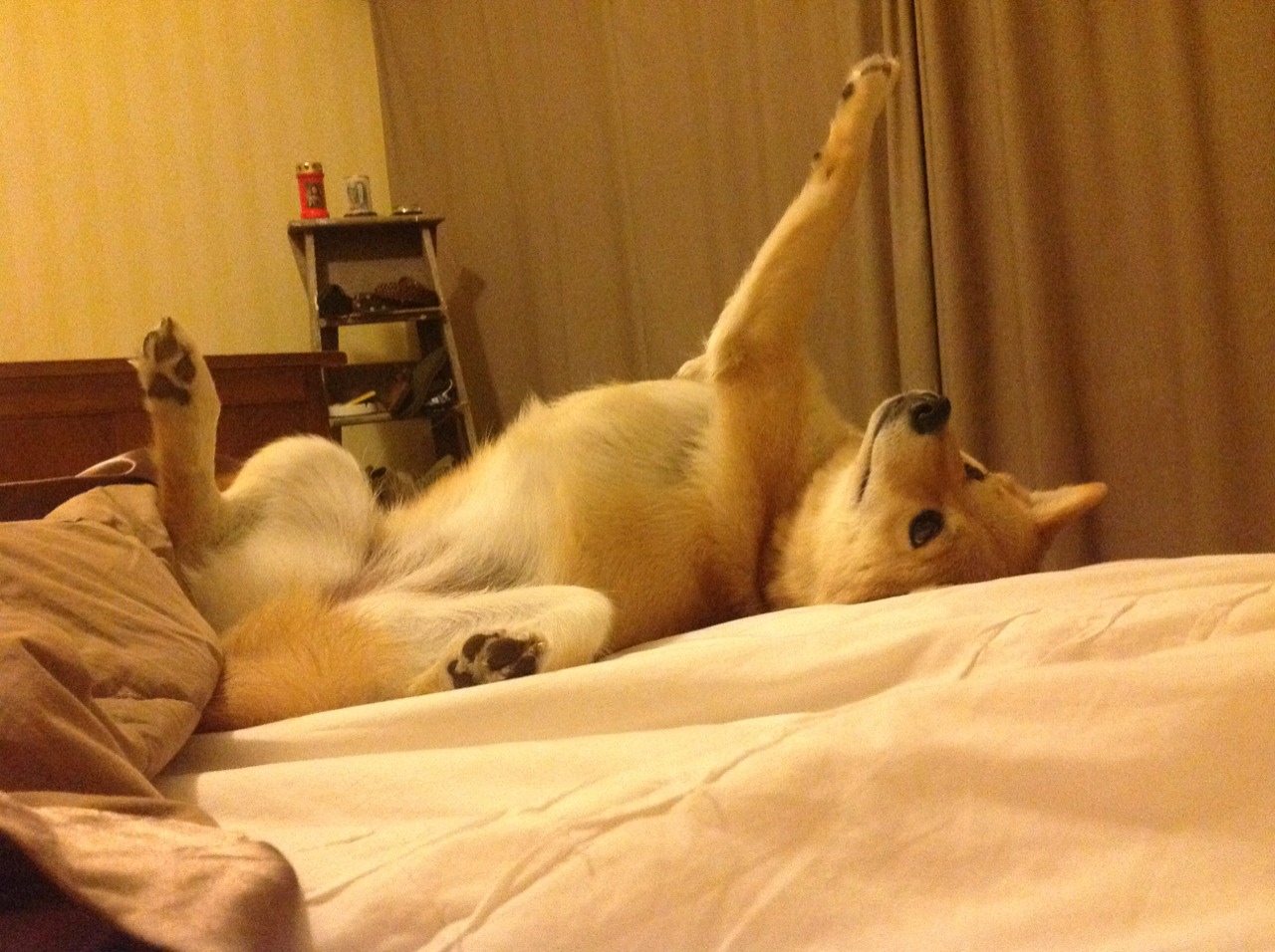 青少年篮球“梦想启航”系列活动全面铺开,激发青少年热情,青少年篮球培训教学视频