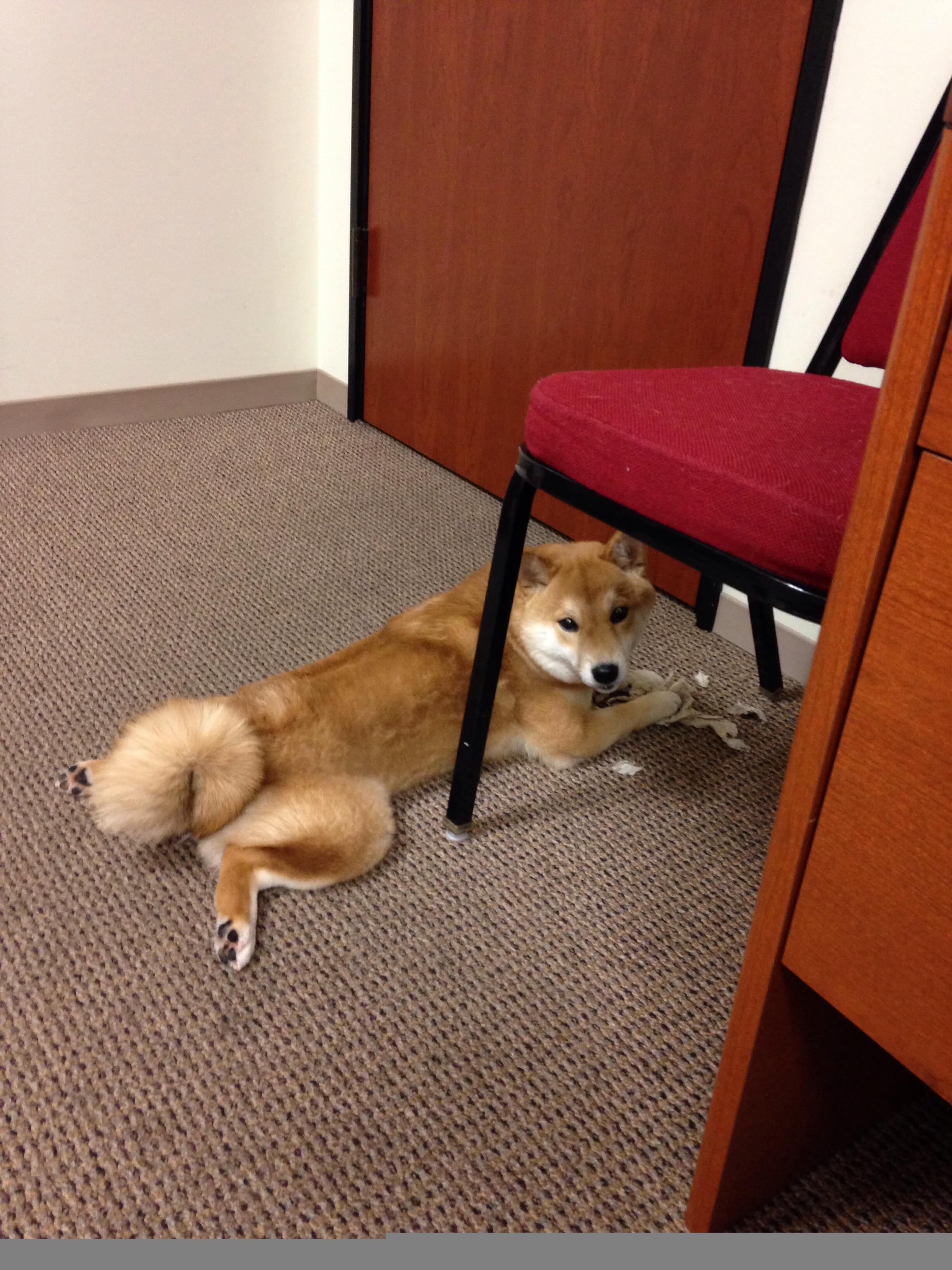 谢周三鏖战三小时,不敌对手遗憾失利,谢周三为什么扣12分