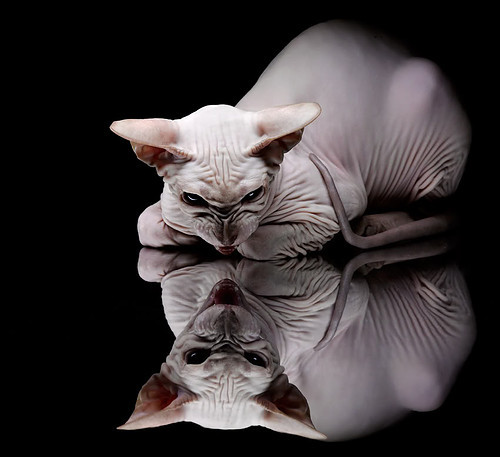 集体比赛集体发力，勇士队净胜对手，勇士全队斗殴合集