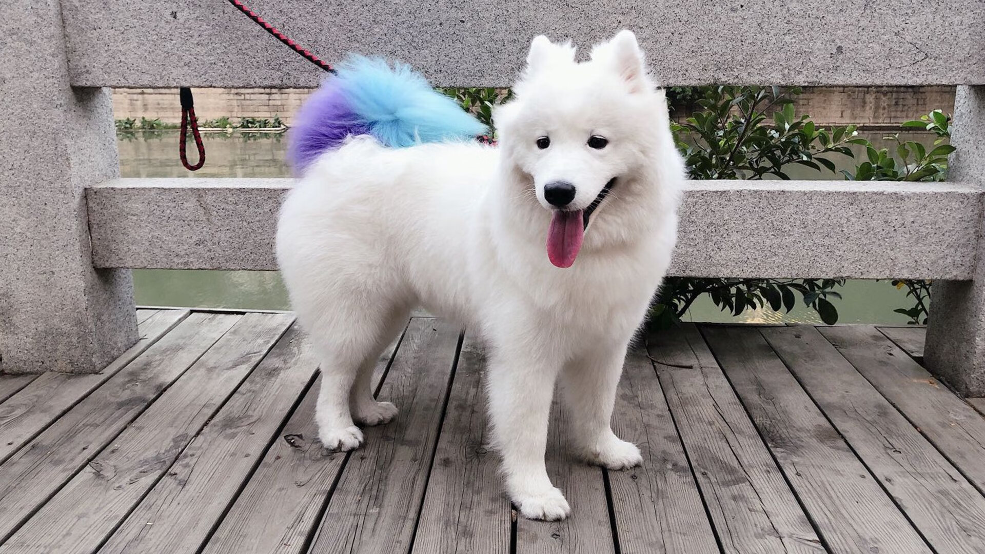 马赛客场逆转布雷斯特，弥补前期失利重新壮大，马赛对布雷斯特