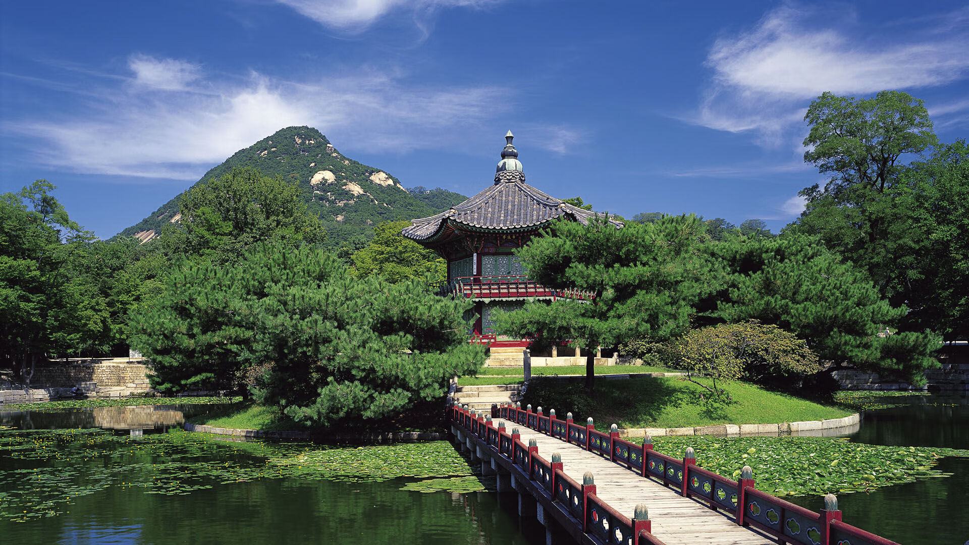 体育新闻中心上线体育内容版权监控预警系统,体育新闻资讯