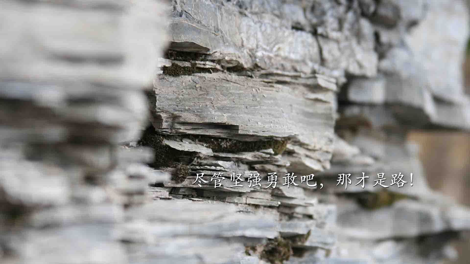 国际乒联混合团体世界杯:罗马尼亚队如何提升团队配合,罗马尼亚女乒乓球员