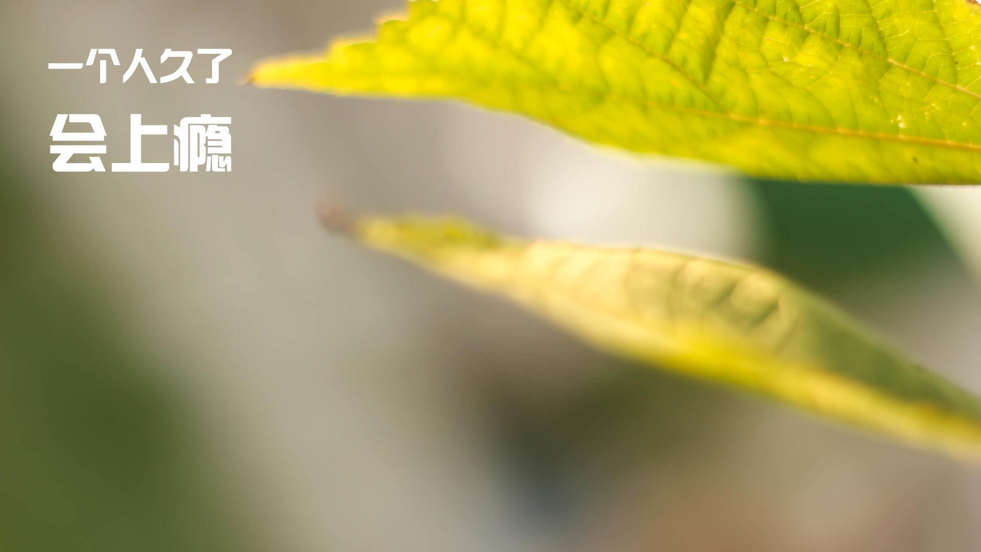 世界杯劲爆瞬间:逆境中逆袭的精彩表现,世界杯决赛逆转