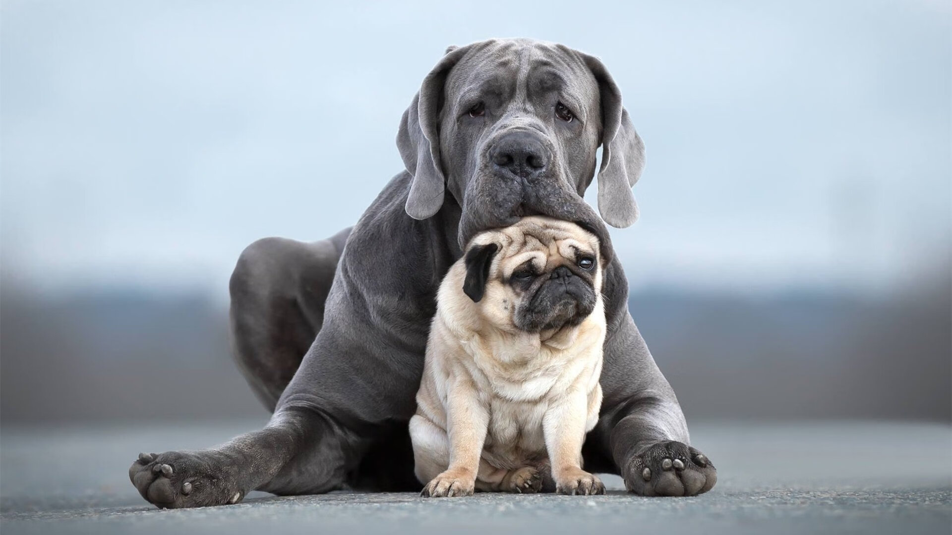 中国篮球推广篮球文化普及丰富群众生活，推广篮球运动