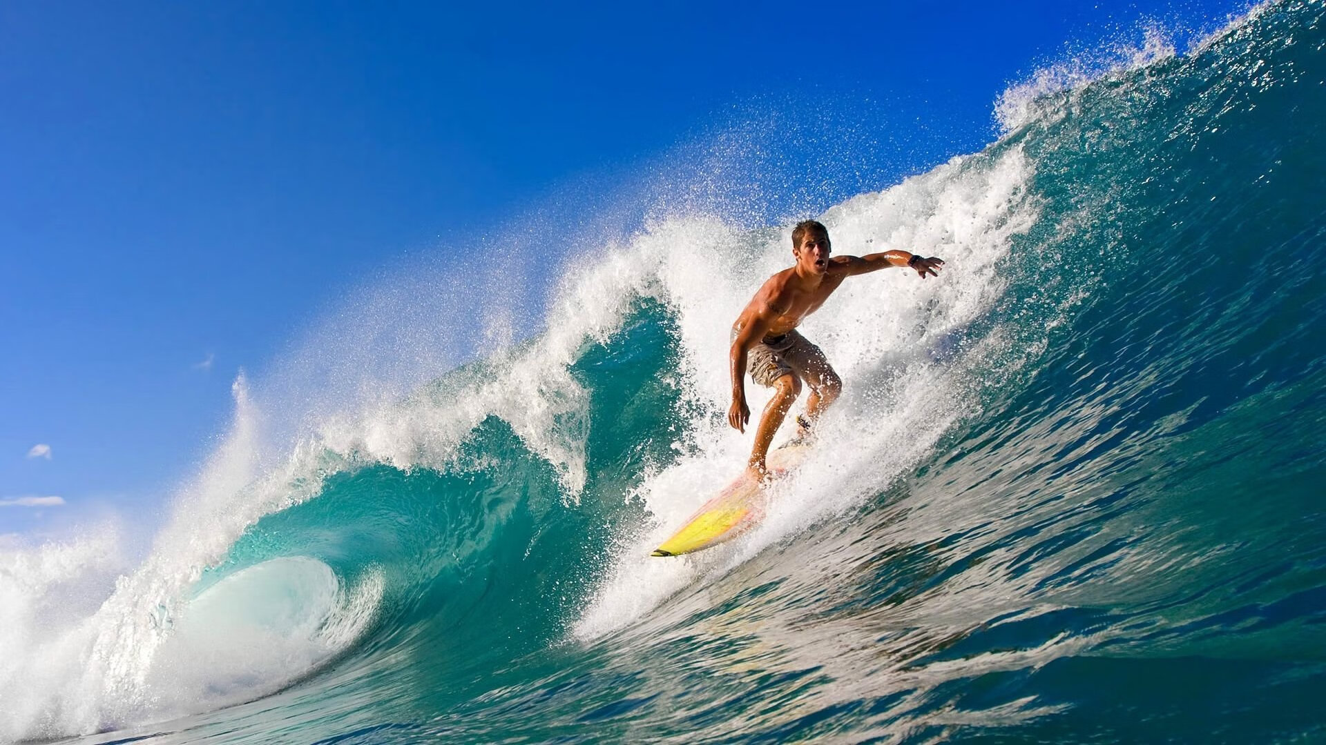 WRC安全措施:保障车手安全的幕后故事,wtcr安全车