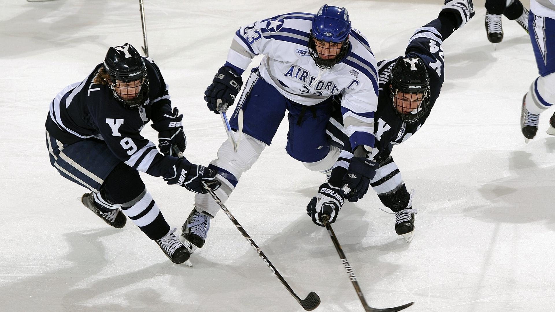 伊朗队教练：我们把沙漠经验带进了雪地，伊朗现任主教练